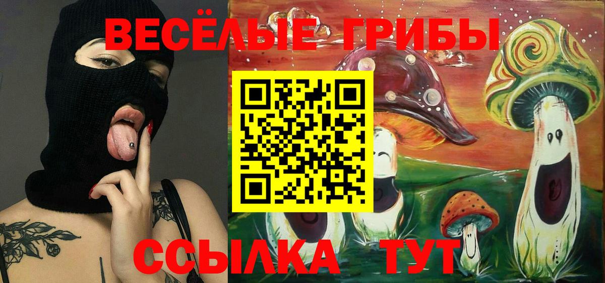 Псилоцибиновые грибы мухоморы  Псилоцибиновые грибы прущие грибы  Балашов  Вход с VPN 
